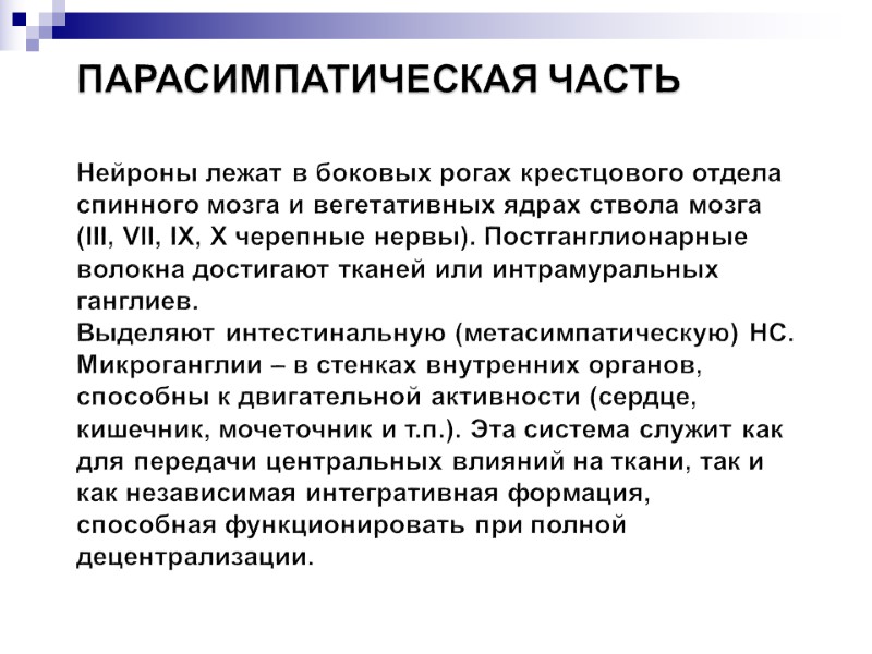 ПАРАСИМПАТИЧЕСКАЯ ЧАСТЬ   Нейроны лежат в боковых рогах крестцового отдела спинного мозга и